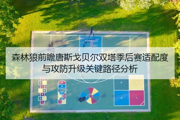 森林狼前瞻唐斯戈贝尔双塔季后赛适配度与攻防升级关键路径分析