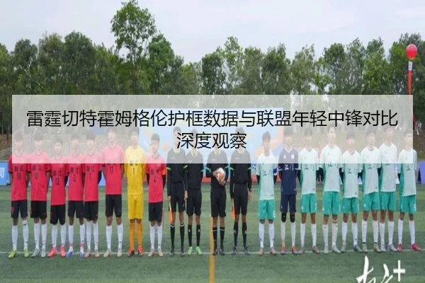 雷霆切特霍姆格伦护框数据与联盟年轻中锋对比深度观察